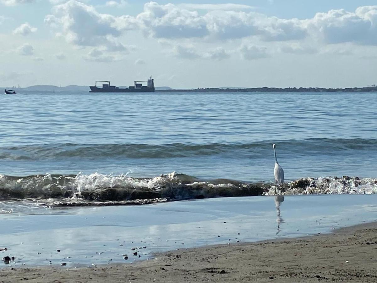 Apto Exclusivo En Bocagrande Frente Al Mar Cartagena Eksteriør bilde